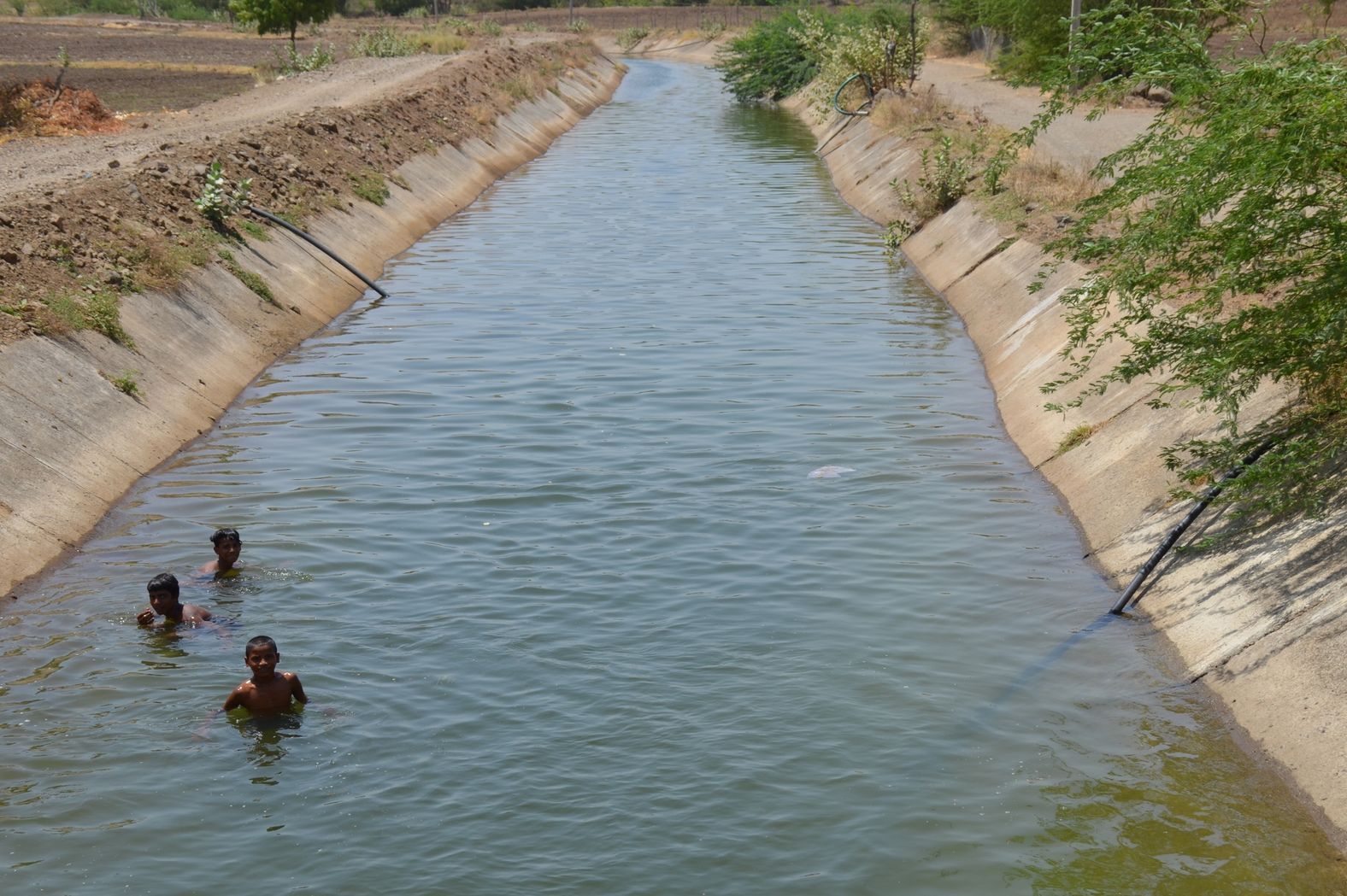 Water released in canal