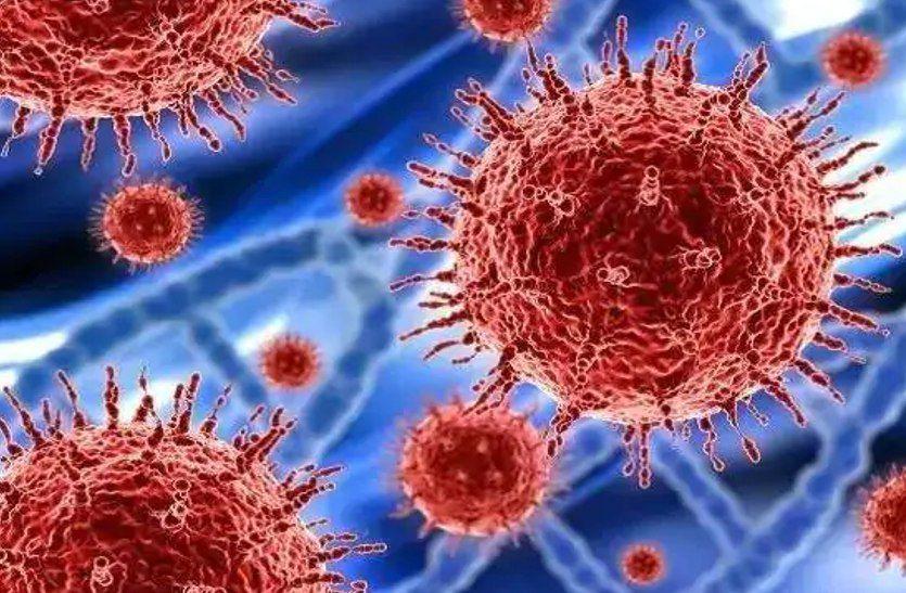 Coronavirus: सुरेन्द्रनगर के ग्रामीण इलाकों में कोरोना के 4 नए मामले, अब तक 20 मामले