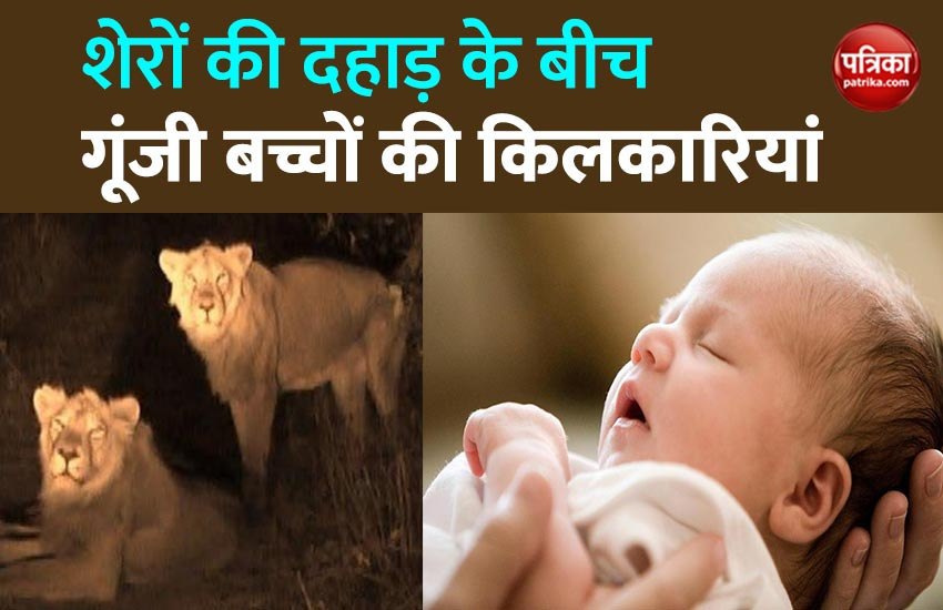 Baby born amidst roars of lions