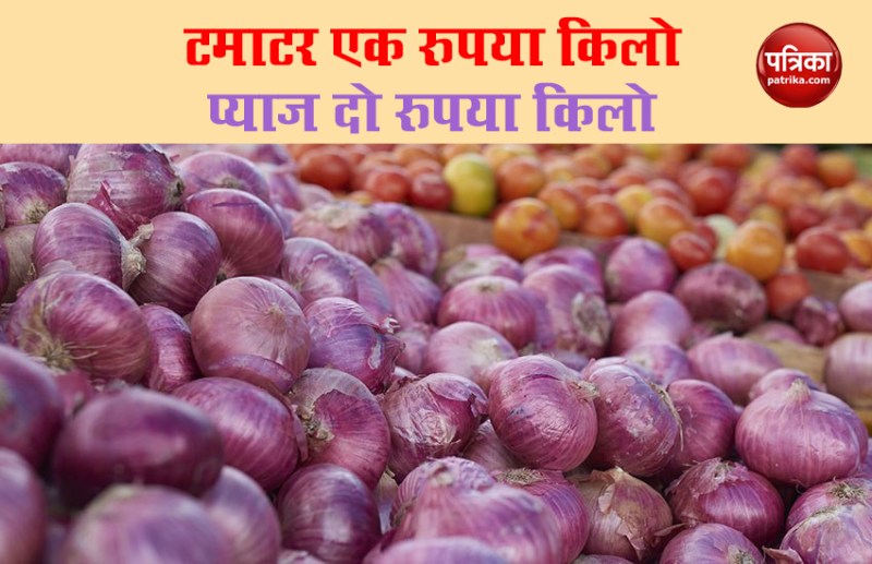 Tomato and Onion Price