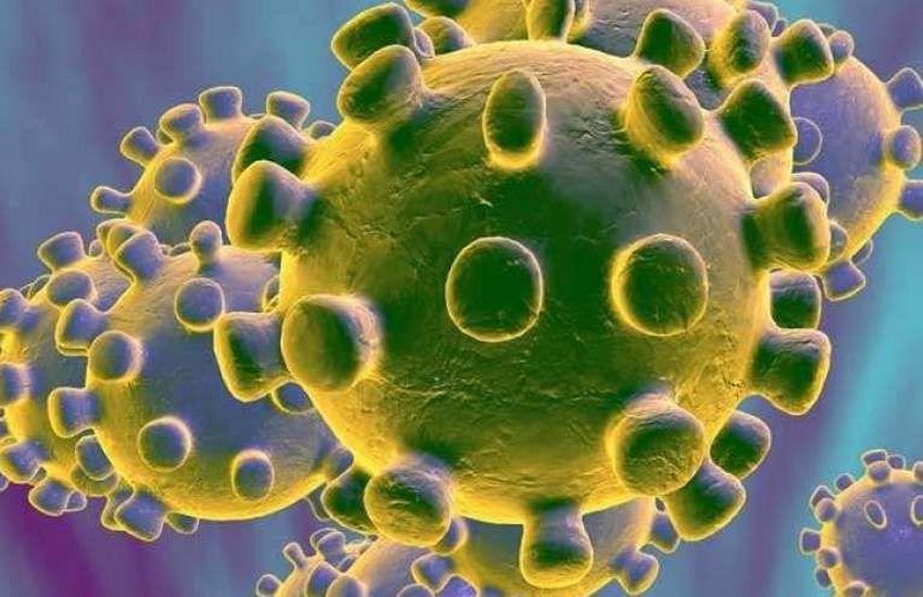 Coronavirus: राजकोट जिले के धोराजी में 2 और कोरोना पॉजिटिव, एक ही परिवार में तीन मामले