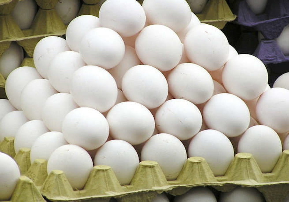 दो महीने में 5400 करोड़ का हो गया नुकसान, चिकन और अंडे की होम डिलीवरी की उठी मांग