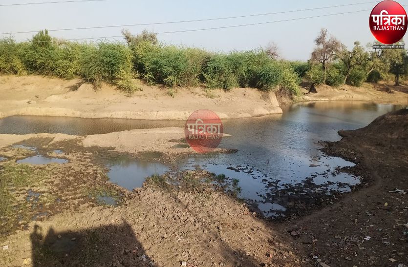 VIDEO : परमार्थ : ग्रामीण अपने स्तर पर पम्प चलाकर पशुओं के लिए भरते हैं गोगरा का तालाब