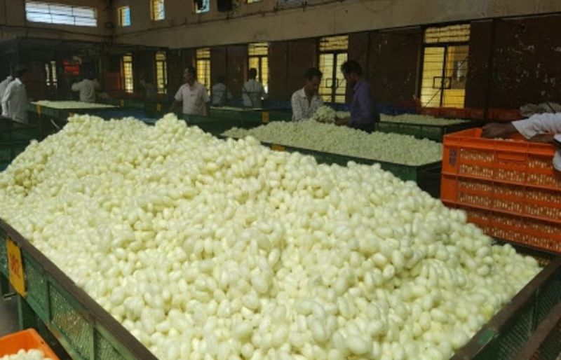 रामनगर कोकून मार्केट बंद करने का विरोध