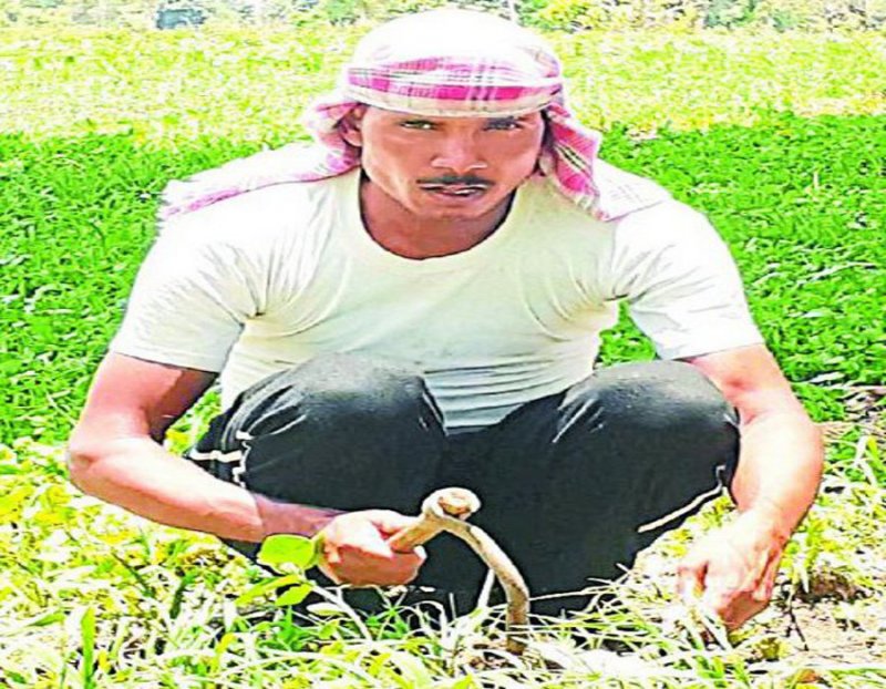 औने-पौने दाम में बेची सब्जियां