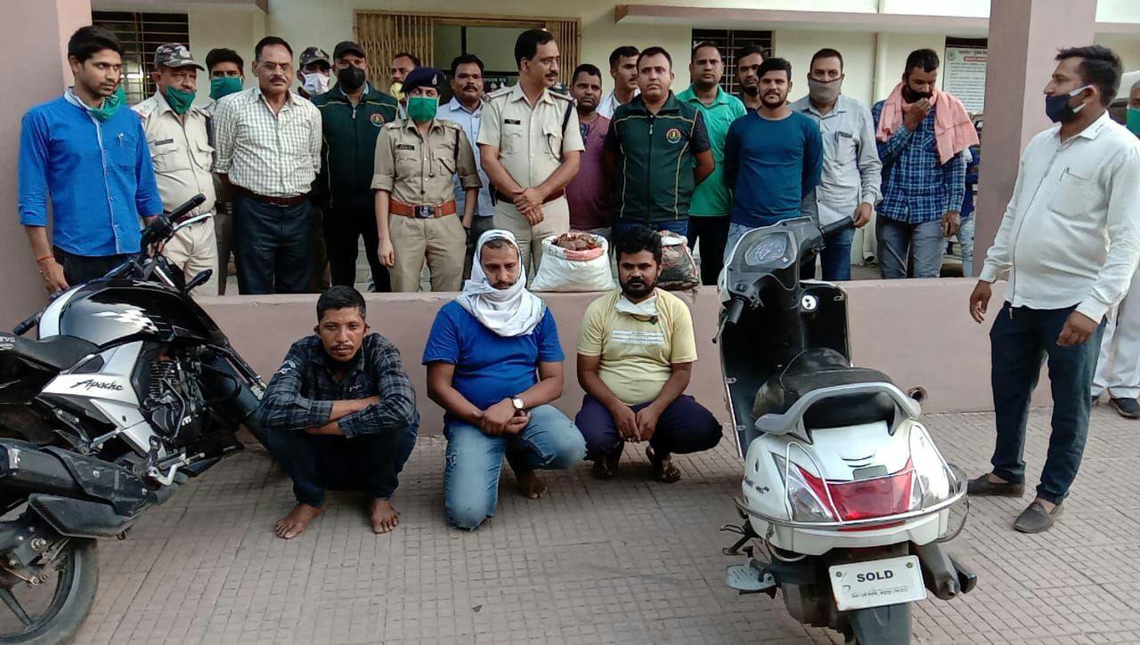 Police arrested three accused smuggling Pangolin
