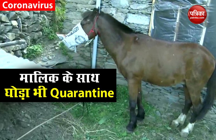 horse on quarantine