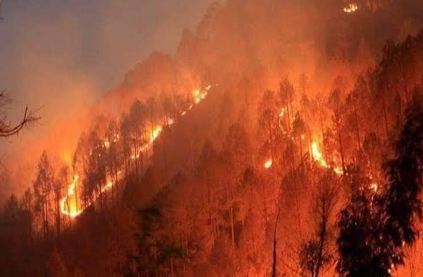 Fact Check: उत्तराखंड में जंगल जलने से हैं दुखी तो पढ़ें यह खबर, पता चलेगा सच