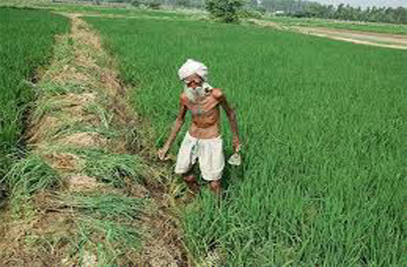 प्रदेश के किसानों को सरकार देगी सम्बल