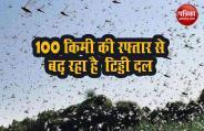 tiddi1.jpg