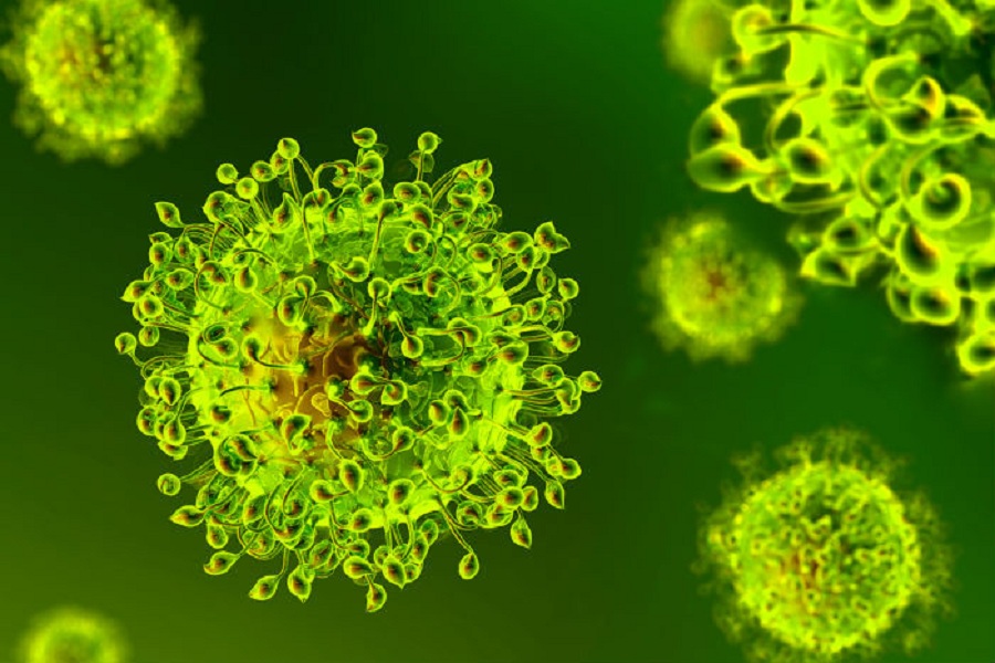 Tamilnadu hits 874 fresh coronavirus cases, total breaches 20k