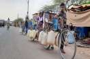 Children battling with elders due to severe water scarcity
