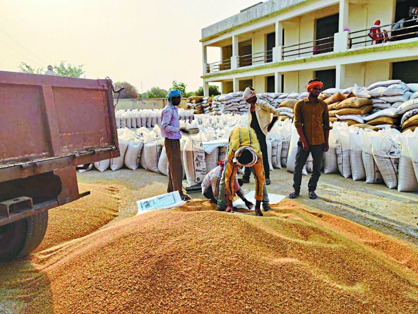 Purchase of wheat increased by 7 lakh quintals, farmers also reached more than last year