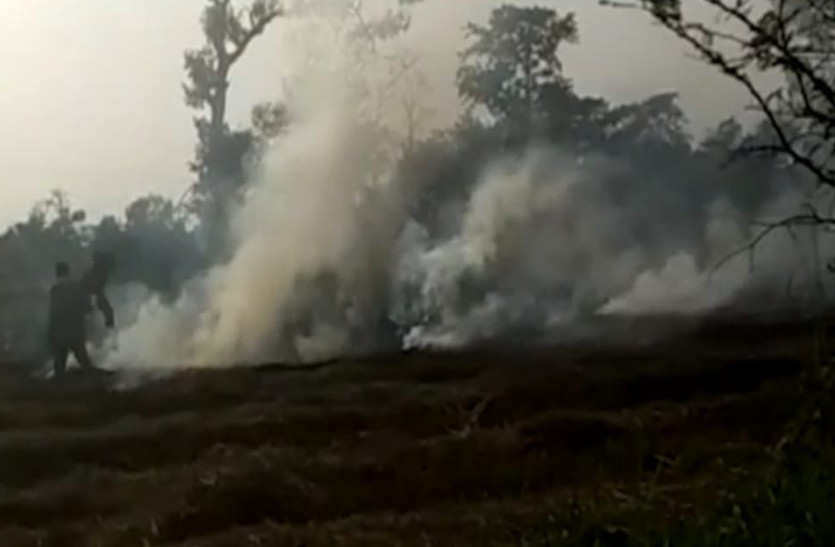 धू-धू कर जलते रबी की फसलों को देख किसानों के उड़ गए होश, 100 एकड़ खेत में लगी फसल जलकर हुई खाक