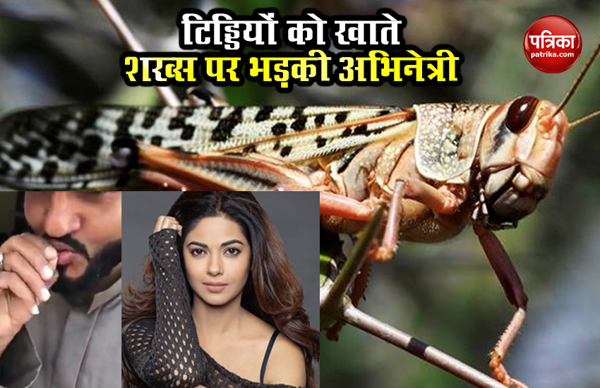 Priyanka Chopra's sister shared video of man eating grasshopper