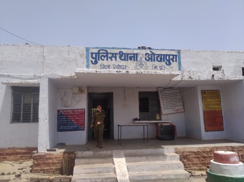 आम के पेड़ पर चढ़ा युवक डाली टूटने से नीचे गिरा,मौत