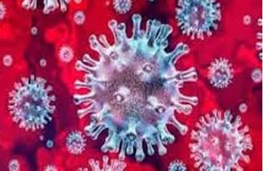 Corona virus (symbolic photo)