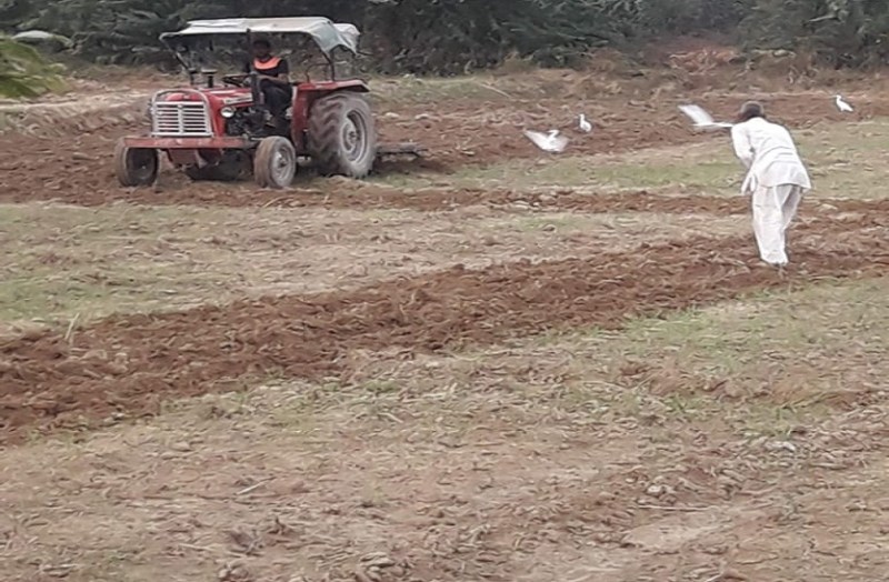 बारिश नहीं आई तो किसानों पर करोड़ों का भार...