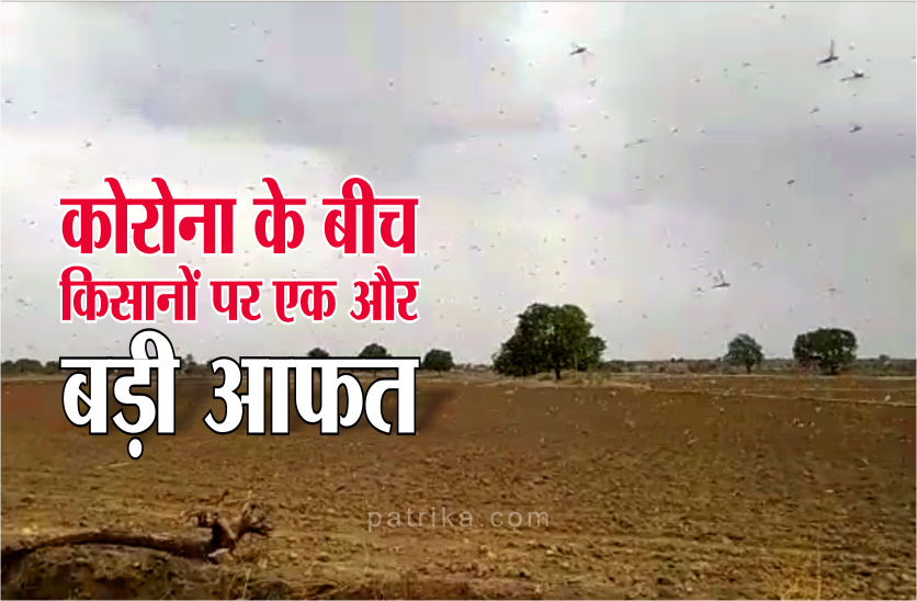 किसानों पर आई बड़ी आफत, चंद मिनिटों में फसल हो रही चौपट