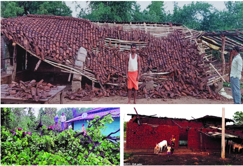 तेज आंधी-तूफान ने मचाई तबाही, किसी के घर गिरे तो कई पेड़ व बिजली खंभे भी हो गए धराशायी