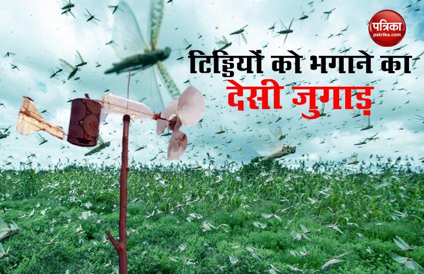 This Desi "Jugaad" To Keep Locusts Away Is Massively Viral.