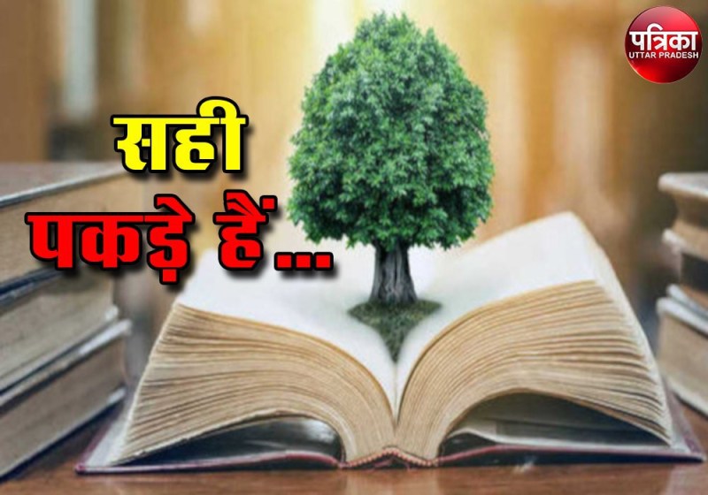 गांव की गलियों में आजकल धड़ल्ले से बोले जाते है अंग्रेजी के ये 25 शब्द, सुनेंगे तो कहेंगे सही पकड़े हैं