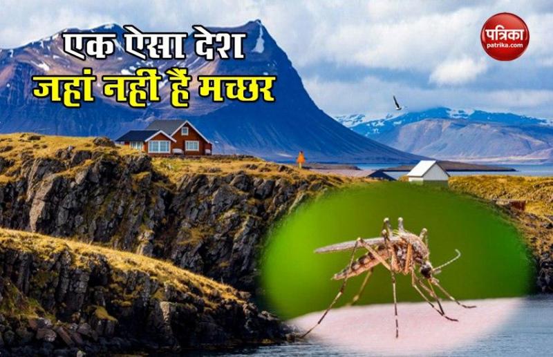 Iceland is a country where there are no mosquitoes