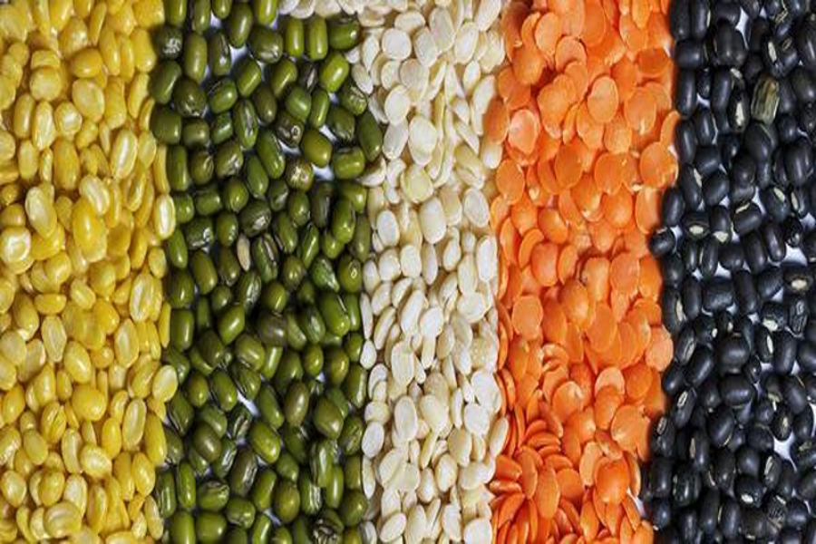 pulses provided at ration shops are coming of poor quality