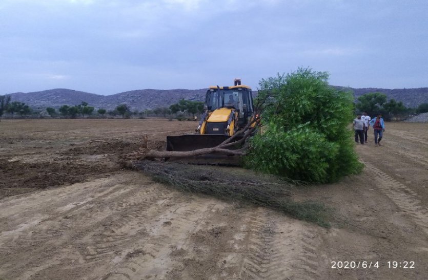 World Environment Day: More Than Ten Thousand Trees Cutting In Alwar