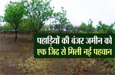 जिद व जुनून ने बदल की पहाड़ी के बंजर जमीन की तस्वीर, लहलहाते पेड़-पौधे दे रहे गवाही