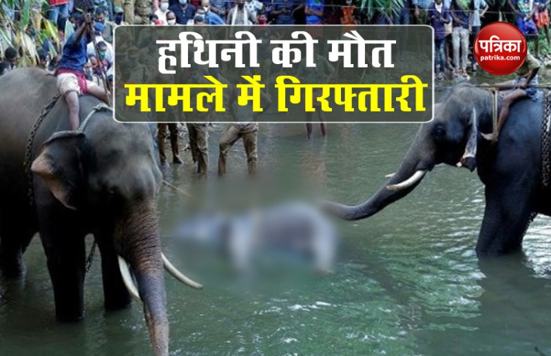 One accused arrested in Pregnant elephant death case