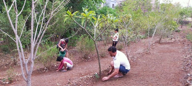 बंजर जमीन पर हरे-भरे पेड़ पौधे दे रहे जुनून की गवाही, पानी खरीदकर भी पौधों को सींचने से नहीं संकोच