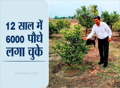 12 साल से सरकारी आॅफिसों, मंदिरों, गांवों को हरा भरा कर रहे एडवोकेट धीरज, चार एकड़ जमीन पर बनाई नर्सरी