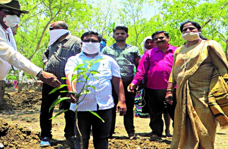 Bird park to be built to nest birds, 400 plants of different species to be planted ...