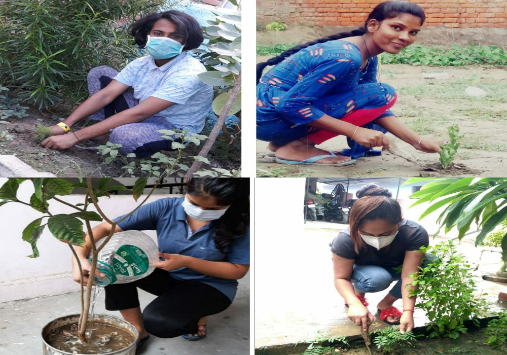 Environment: पौधरोपण कार्यक्रम  में ऑनलाइन दर्ज कराई मौजूदगी  