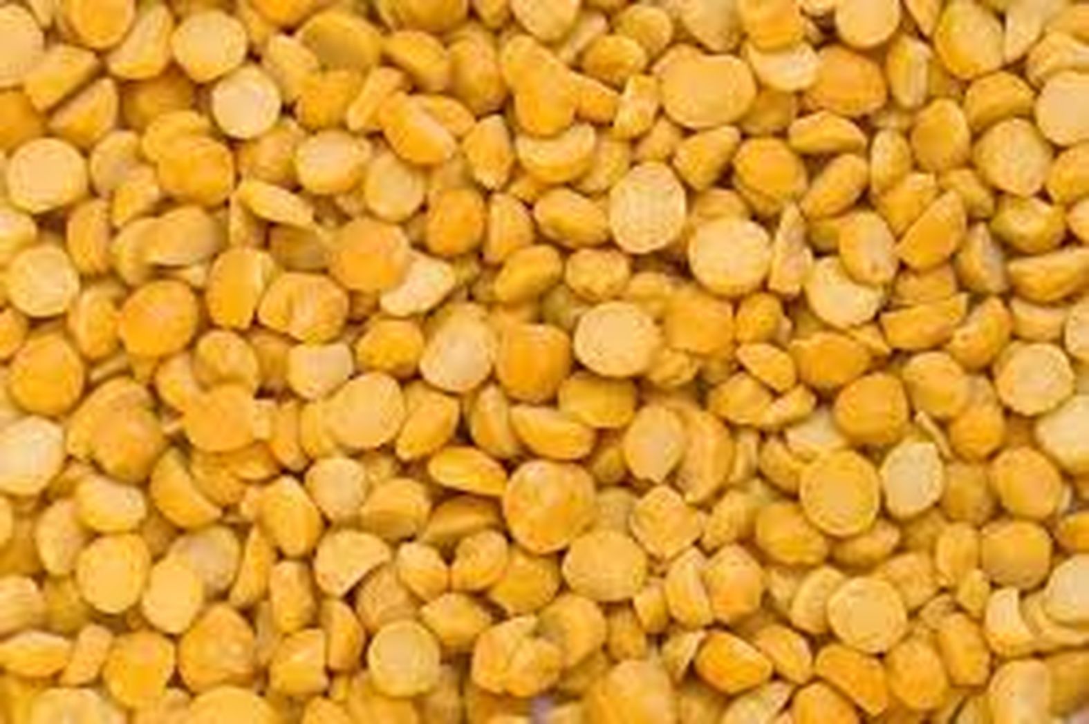 chana-dal--tur-and-masoor-dal-remained-soft.jpg