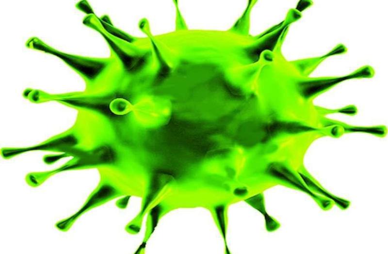 Coronavirus: राजकोट जिले में पासा के तहत आरोपी को कोरोना, भेजा गया था सूरत जेल