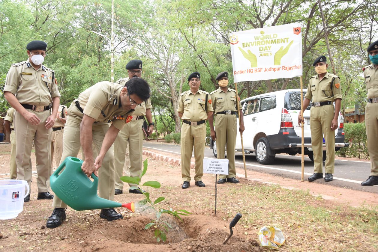 बॉर्डर इलाकों में 1.50 लाख पौधे लगाएगी बीएसएफ