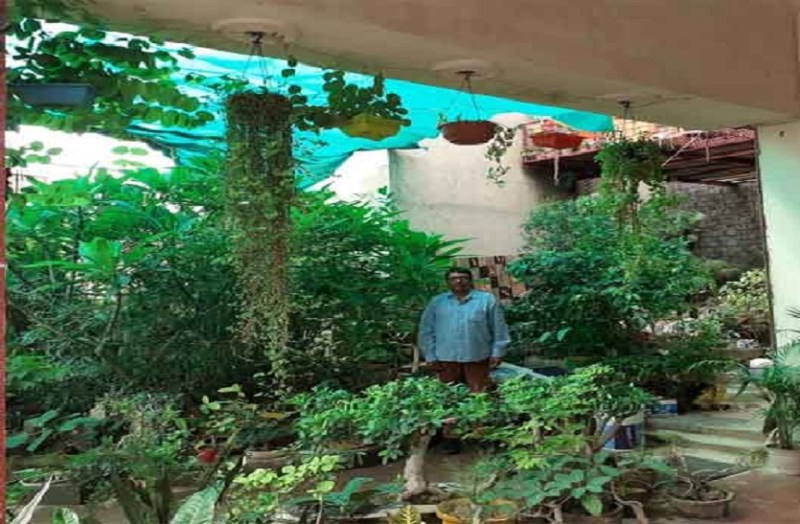 जंगल में मंगल नहीं घर में ही बना दिया जंगल का मंगल