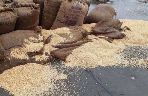 भामाशाहमंडी में भीगी जिंस