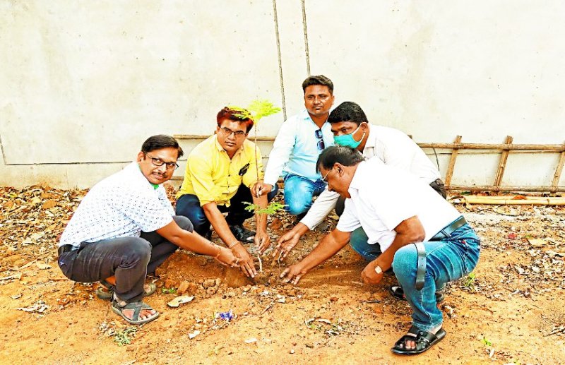 विश्व पर्यावरण दिवस : जिले में रोपे गए फल व छायादार पौधे