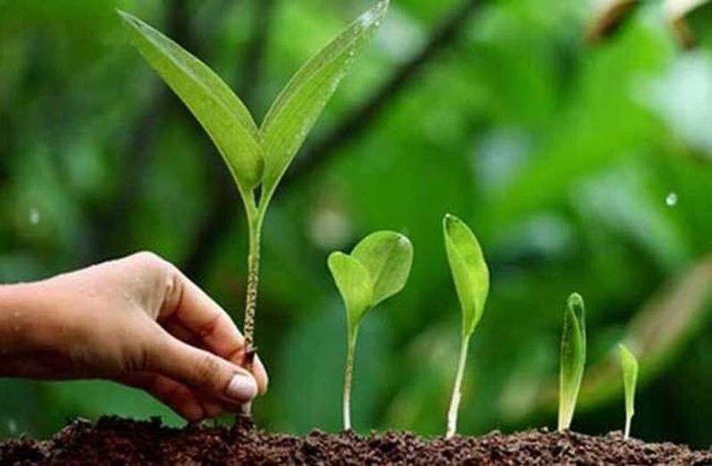 युवाओं को पर्यावरण संरक्षण के प्रति जागरूक होना होगा