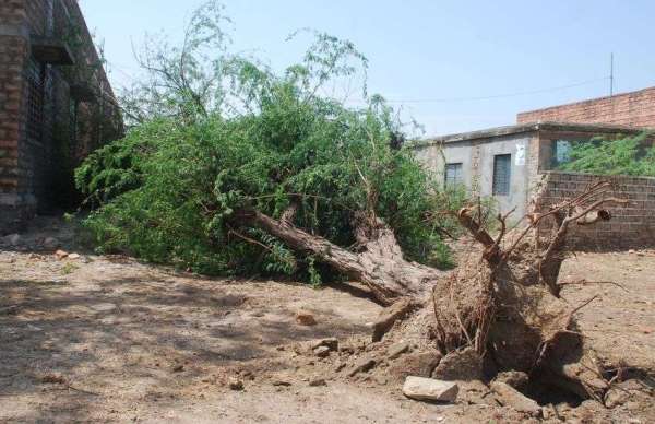 तेज हवा के साथ आई बारिश ने मचाई तबाही