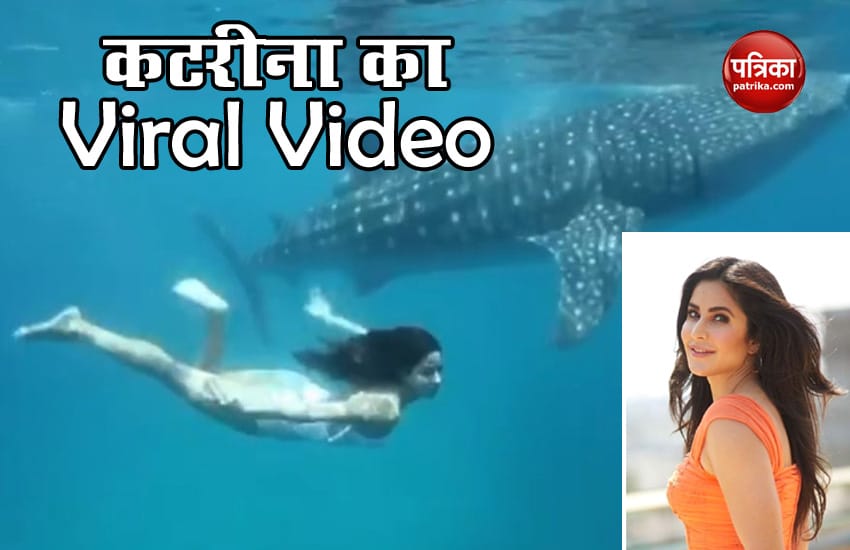 Katrina Kaif Swimming Video