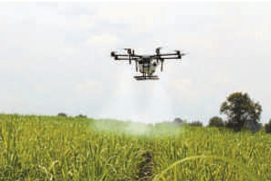 now drones will be used to attack on locust outbreak in rajasthan