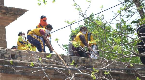 Collectorate : अचानक कार पर जा गिरा पेड़