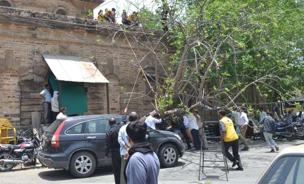 Collectorate : अचानक कार पर जा गिरा पेड़