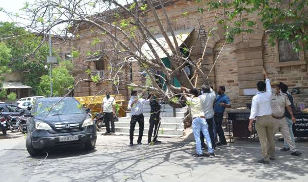 Collectorate : अचानक कार पर जा गिरा पेड़