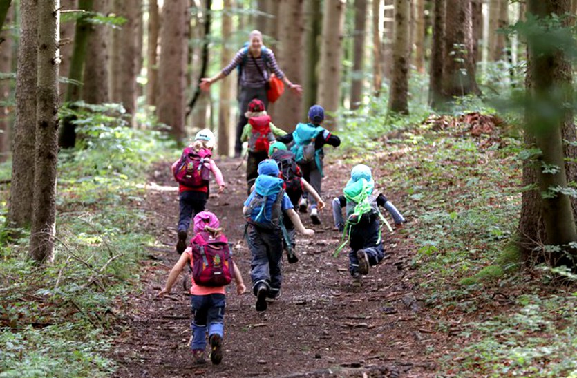 पढ़ाई के साथ-साथ अब जंगलों की सैर करेंगे स्कूली बच्चे, वन मितान बनकर प्रकृति को सहेजने बढ़ाएंगे एक कदम