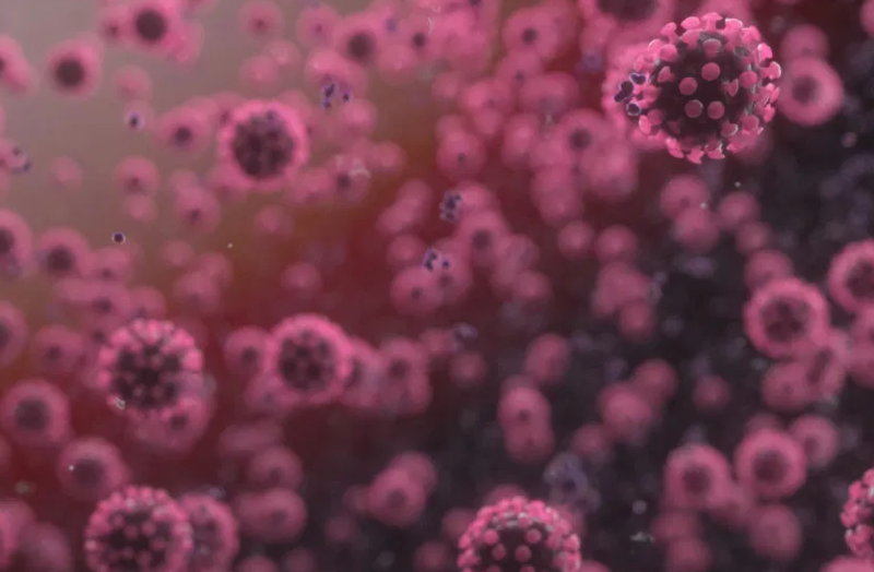 दूसरों की जान बचाने गए थे, Coronavirus की चपेट में आ गए आपदा प्रबंधन दल के दर्जनों कर्मचारी